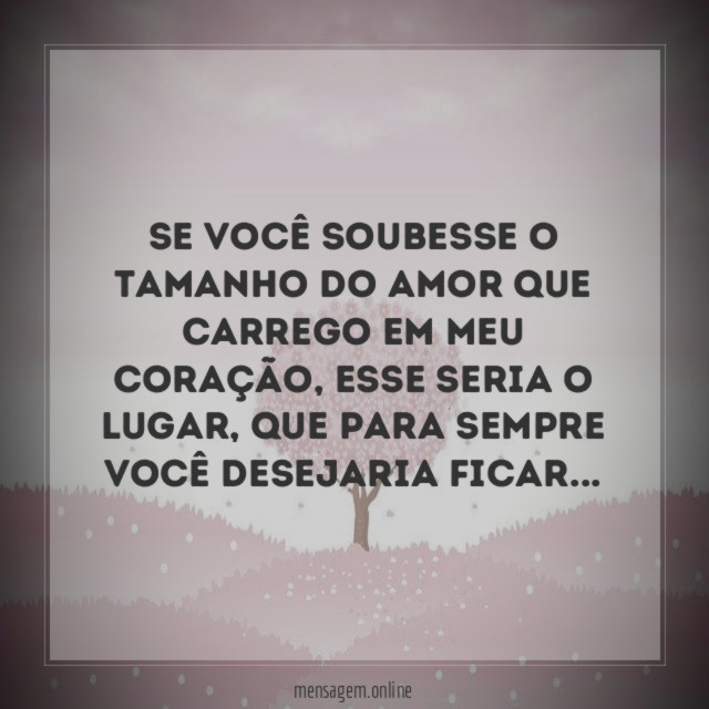 Se você soubesse o tamanho do amor que