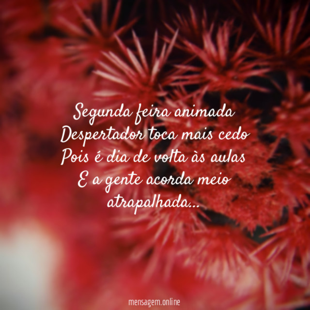 Segunda feira animada
Despertador toca mais cedo
Pois é dia de volta às aulas
E a gente acorda meio atrapalhada…