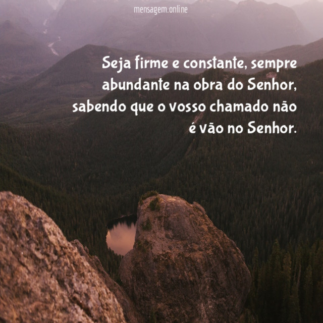 Seja firme e constante