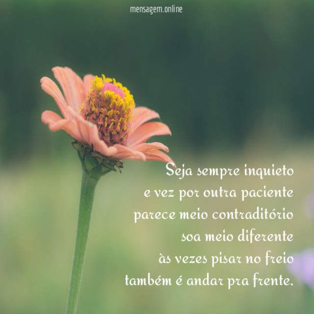 Seja sempre inquieto e vez por outra paciente parece meio
