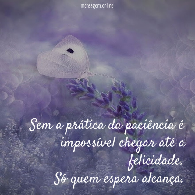Sem a prática da paciência é impossível chegar