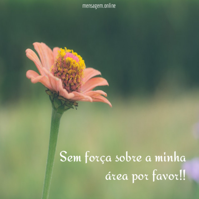 sem força sobre a minha área por favor