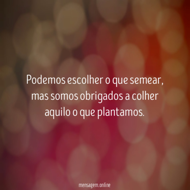 Semear