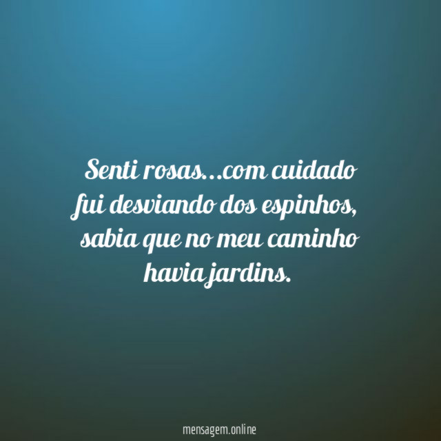 Senti rosas