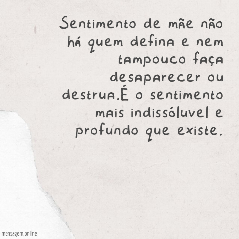 Sentimento de mãe não há quem defina