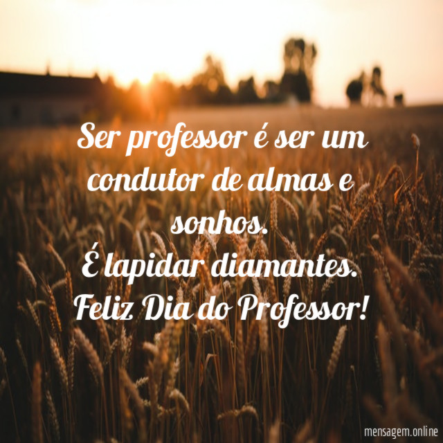Ser professor é ser um condutor de almas e sonhos