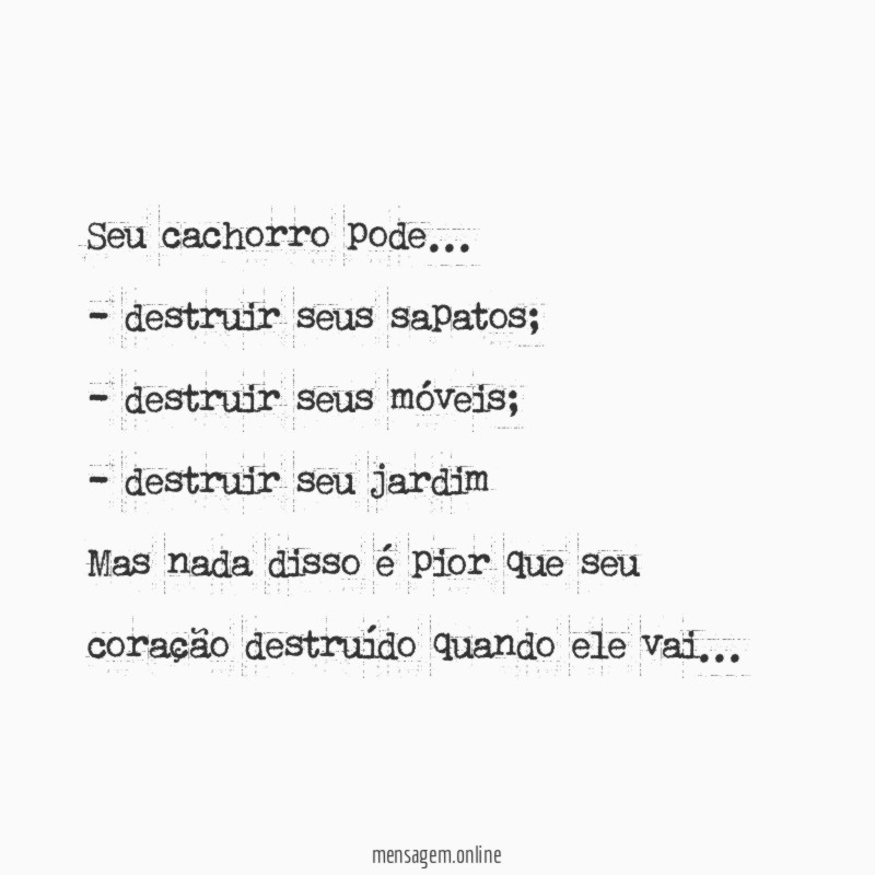 Seu cachorro pode