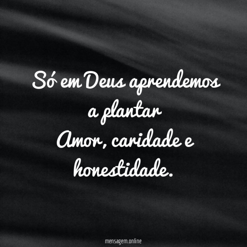 Só em Deus aprendemos a plantar Amor