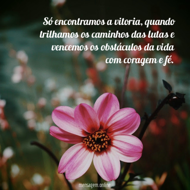 Só encontramos a vitoria
