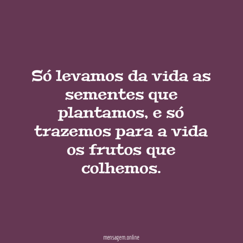 Só levamos da vida as sementes que plantamos