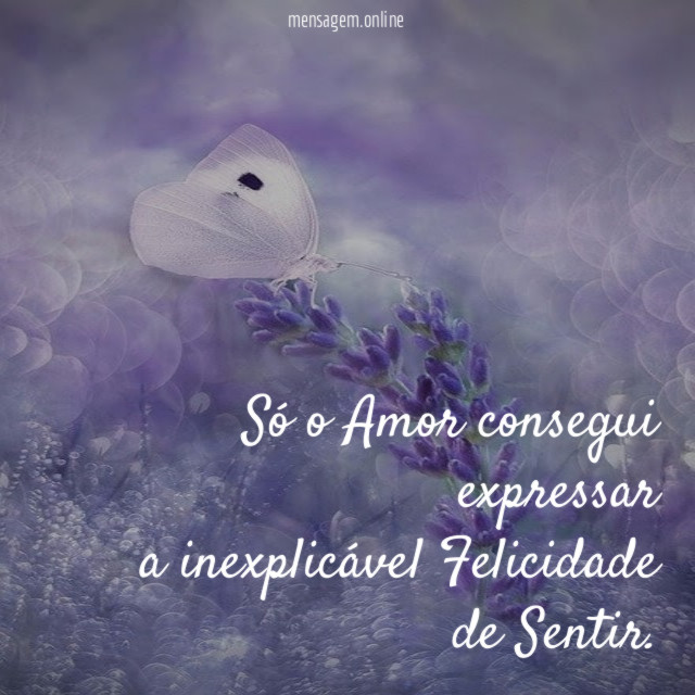 Só o Amor consegui expressar a inexplicável Felicidade de Sentir