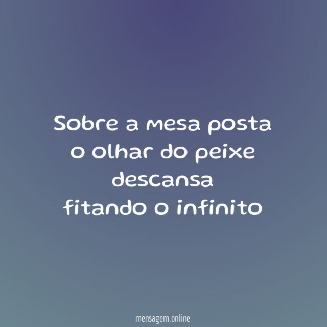 sobre a mesa posta o olhar do peixe descansa fitando o infinito