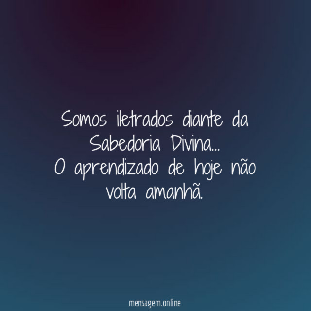 Somos iletrados diante da Sabedoria Divina