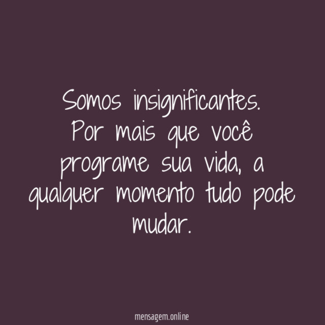 Somos insignificantes
