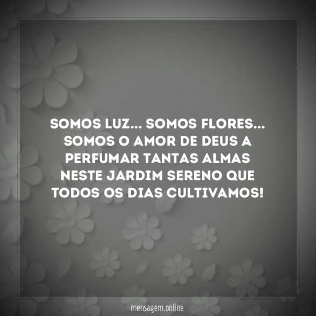 somos luz