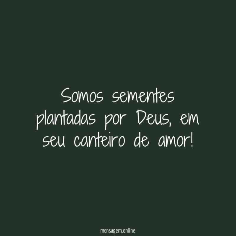 Somos sementes plantadas por Deus