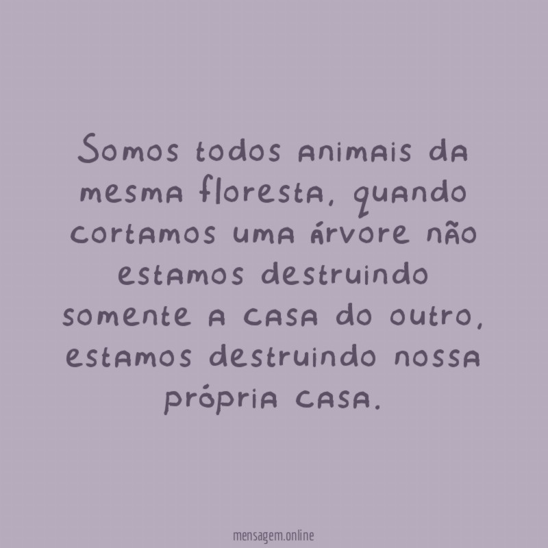 Somos todos animais da mesma floresta
