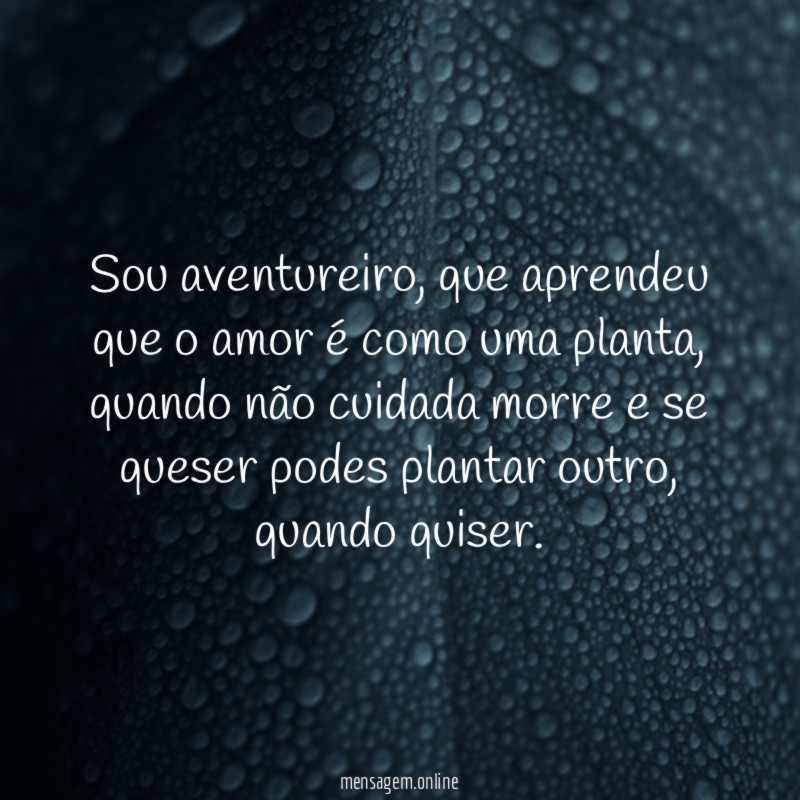 Sou aventureiro