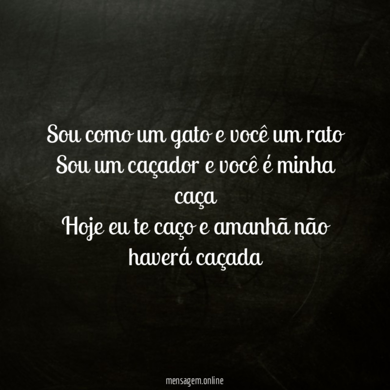 Sou como um gato e você um rato Sou