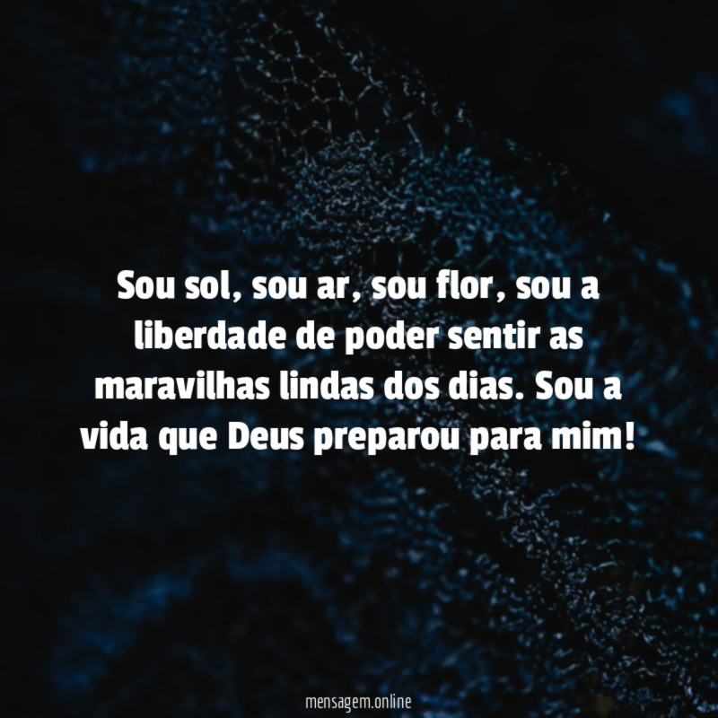 Sou sol