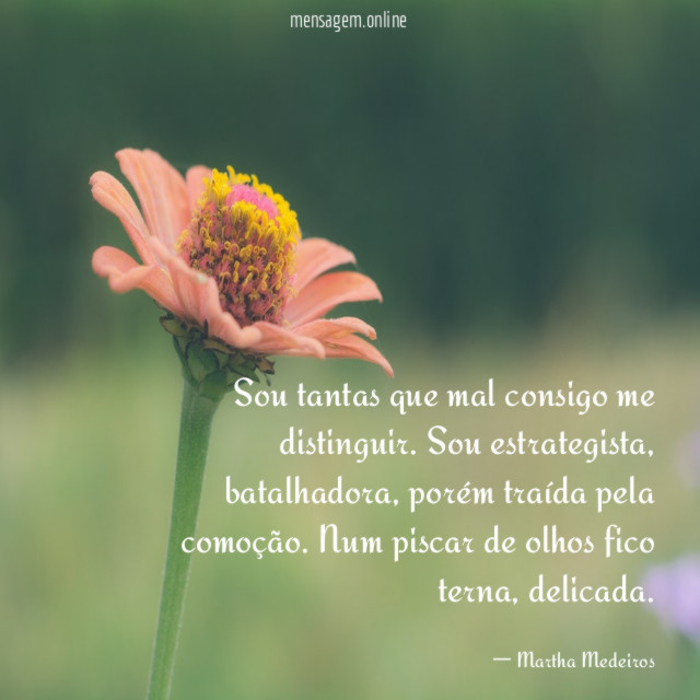 Sou tantas que mal consigo me distinguir