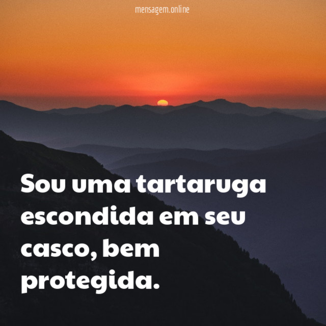 Sou uma tartaruga escondida em seu casco