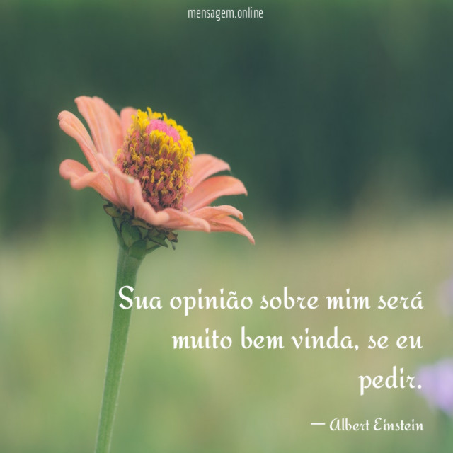 Sua opinião sobre mim será muito bem vinda