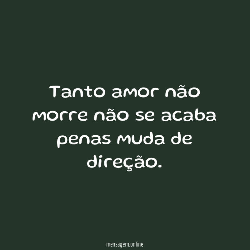 Tanto amor não morre não se acaba penas