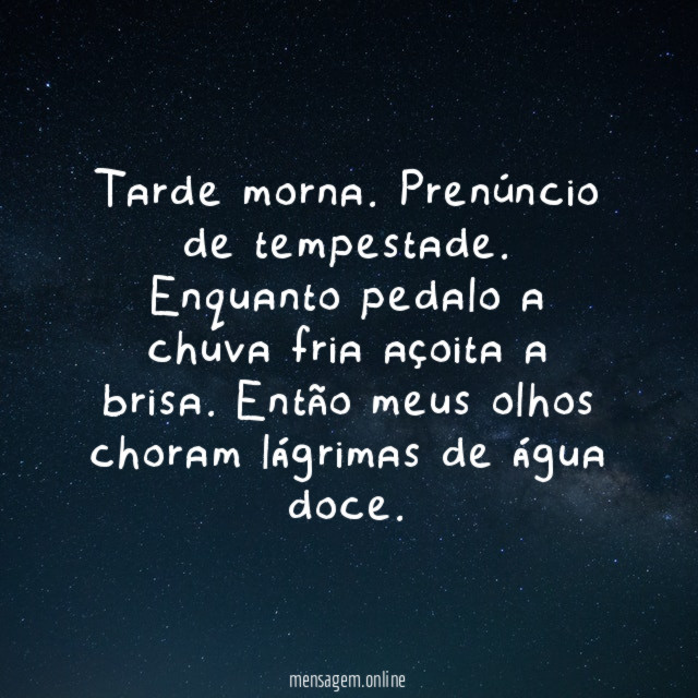 Tarde morna