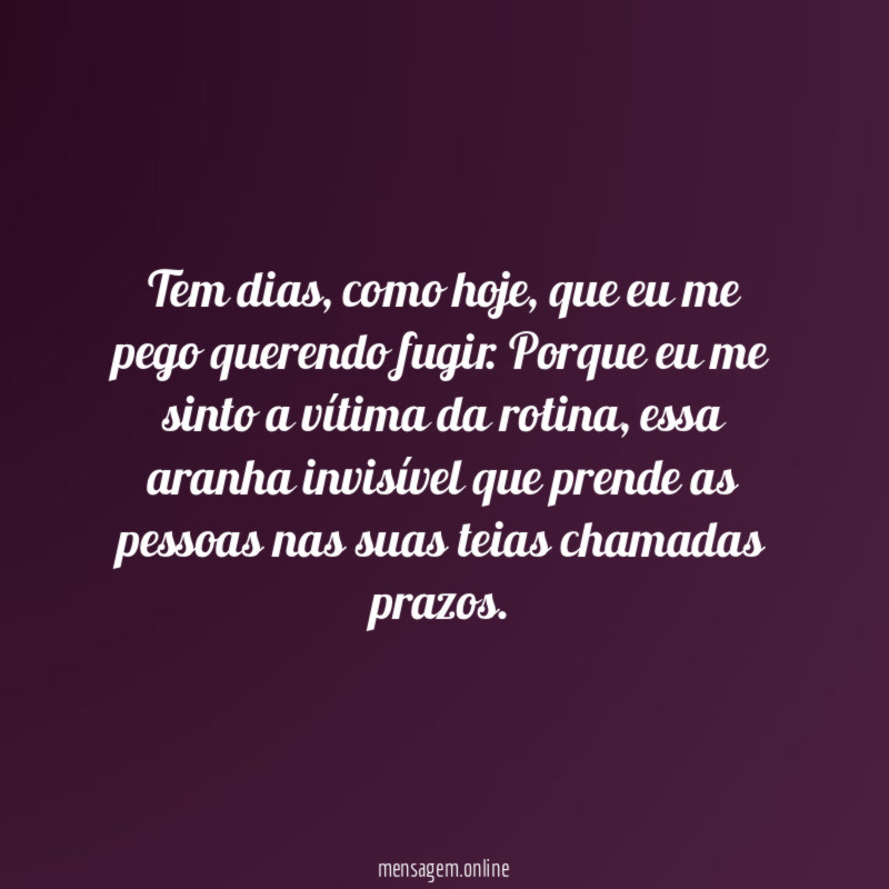 Teias chamadas prazos