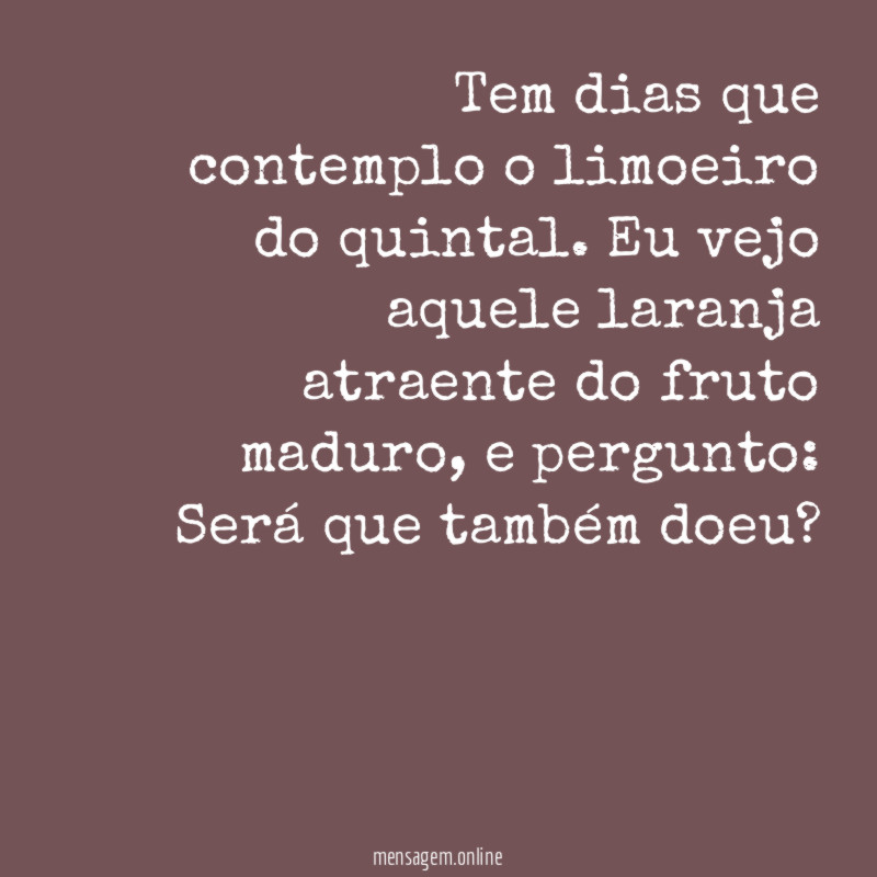 Tem dias que contemplo o limoeiro do quintal
