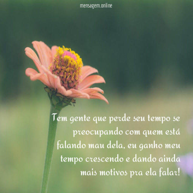 Tem gente que perde seu tempo se preocupando
