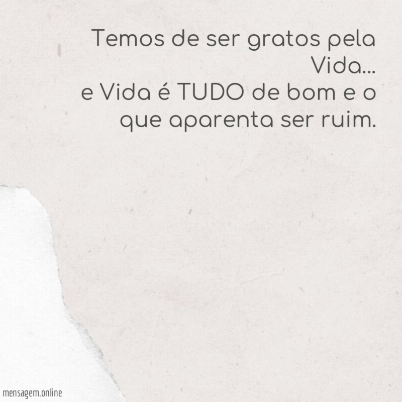 Temos de ser gratos pela Vida