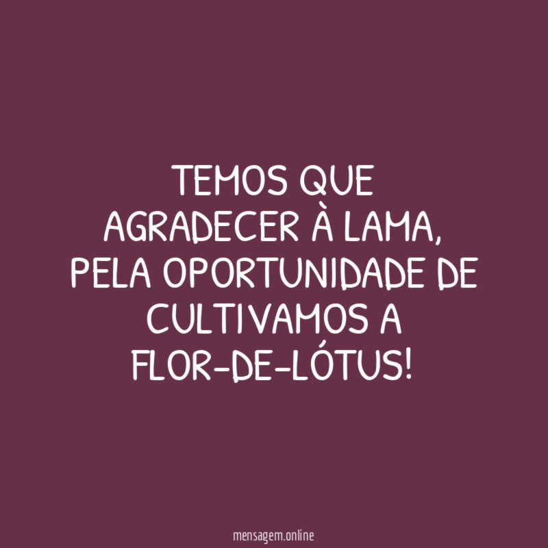 Temos que agradecer à lama