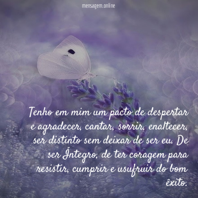 Tenho em mim um pacto de despertar e agradecer