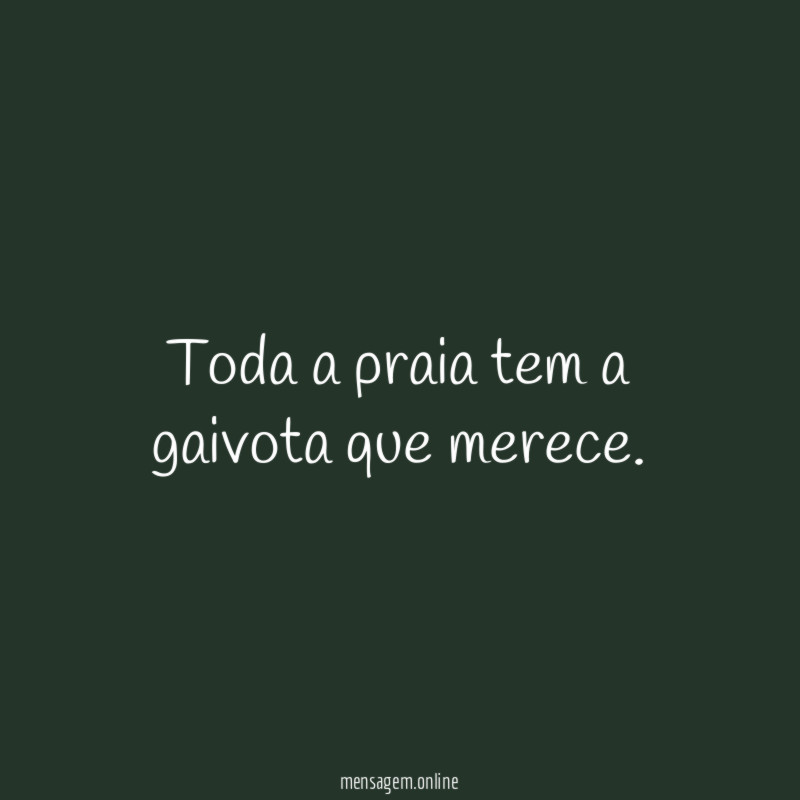 Toda a praia tem a gaivota que merece