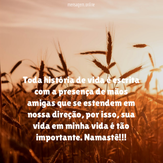 Toda história de vida é escrita com a presença de mãos amigas que se estendem em nossa direção, por isso, sua vida em minha vida é tão importante. Namastê!!!