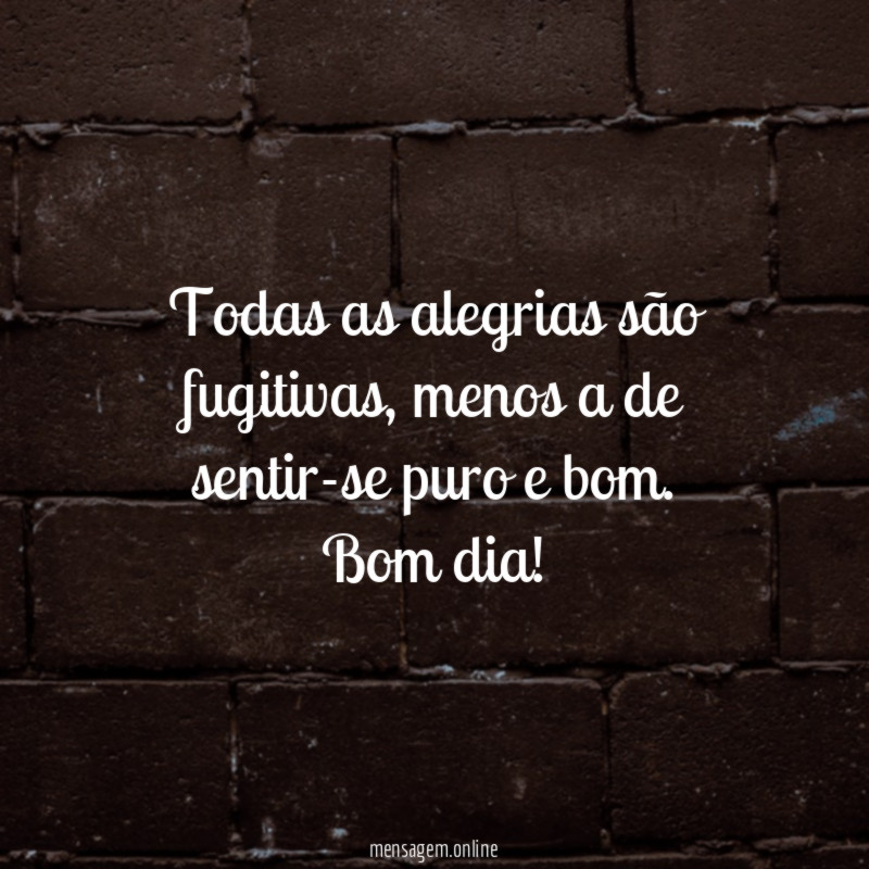 Todas as alegrias são fugitivas
