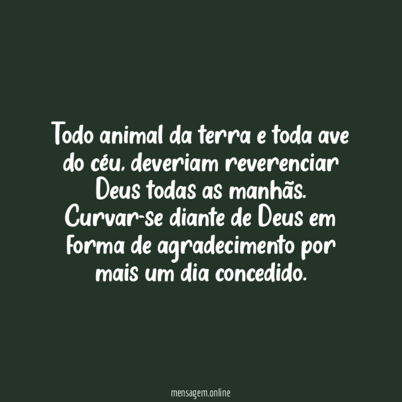 Todo animal da terra e toda ave do céu