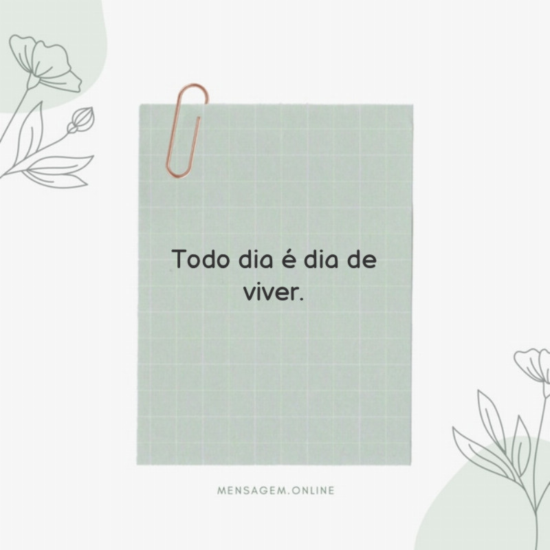 Todo dia é dia de viver