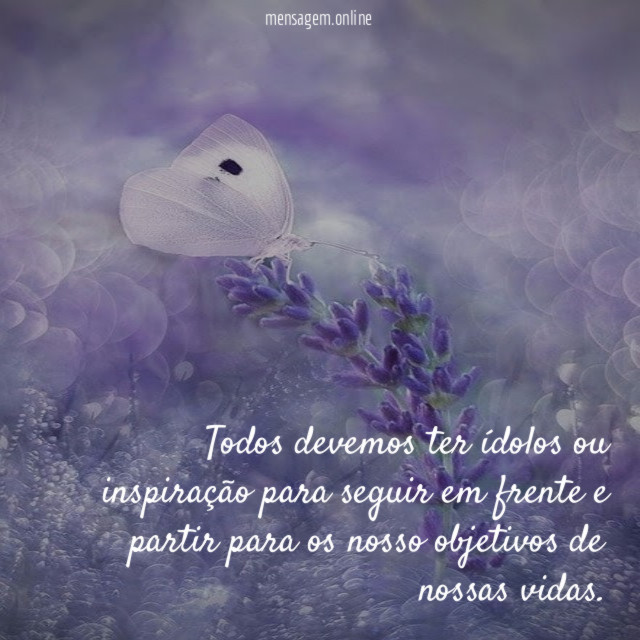 Todos devemos ter ídolos ou inspiração para seguir