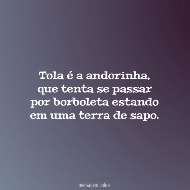 Tola é a andorinha