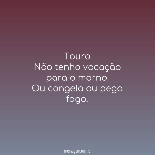 Touro Não tenho vocação para o morno