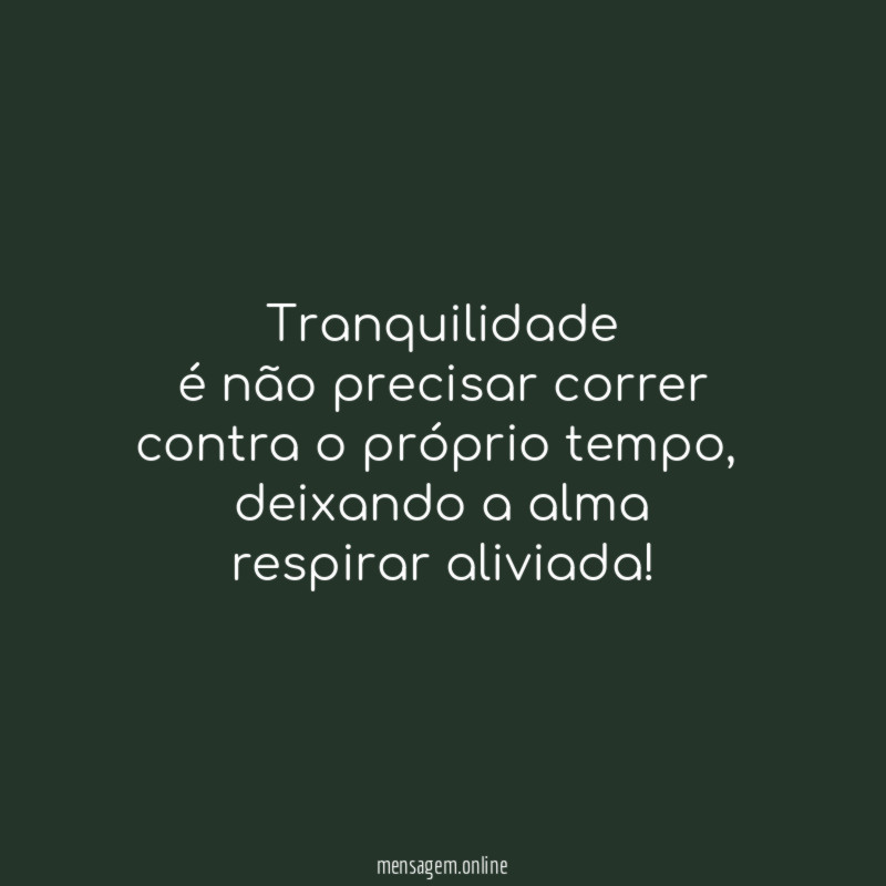 Tranquilidade
é não precisar correr
contra o próprio tempo,
deixando a alma
respirar aliviada!