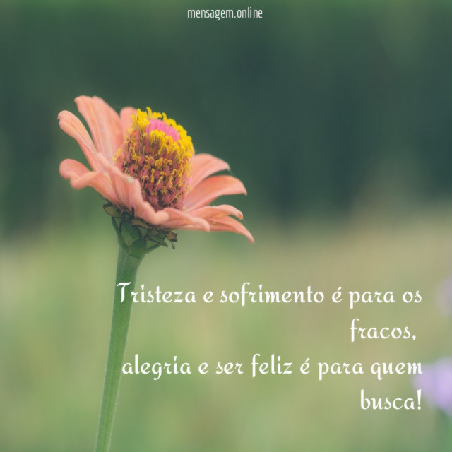 Tristeza e sofrimento é para os fracos