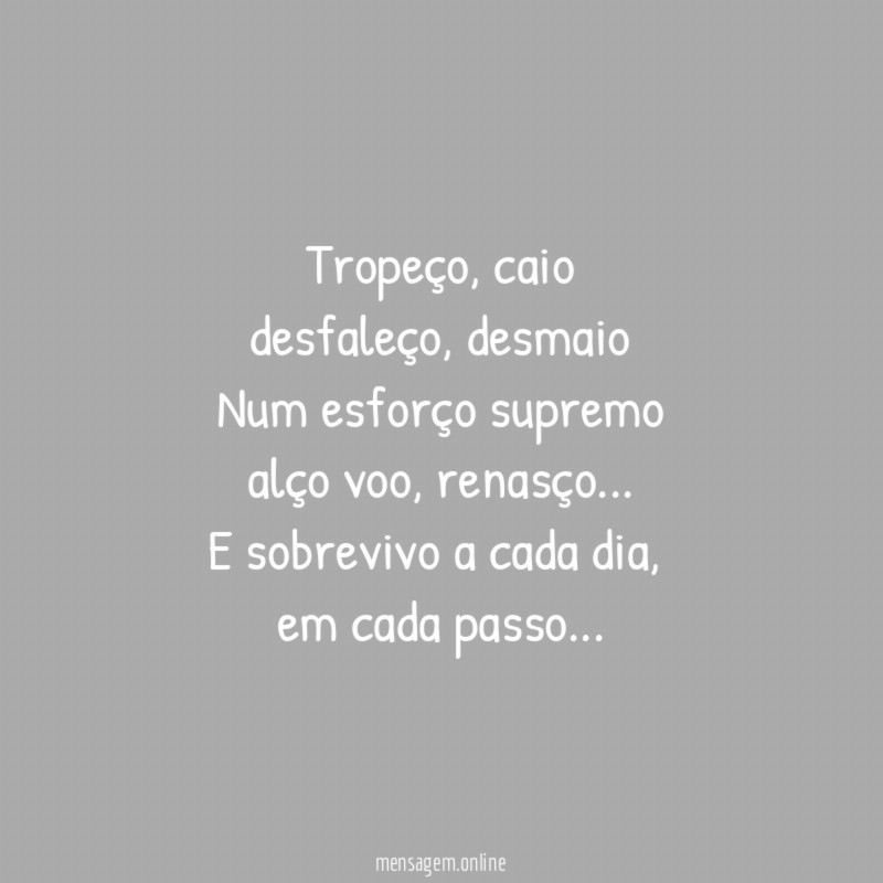 Tropeço, caio
desfaleço, desmaio
Num esforço supremo
alço voo, renasço…
E sobrevivo a cada dia,
em cada passo…