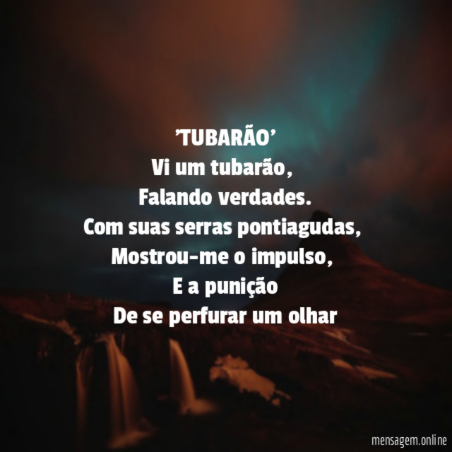 'TUBARÃO'