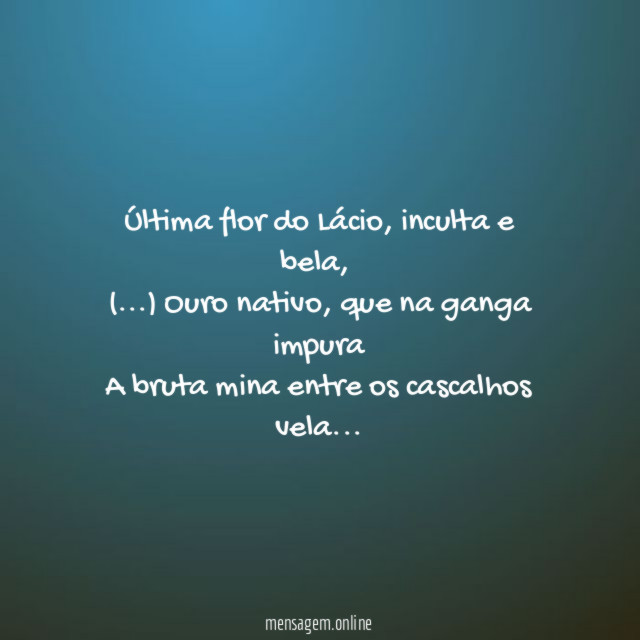 Última flor do Lácio