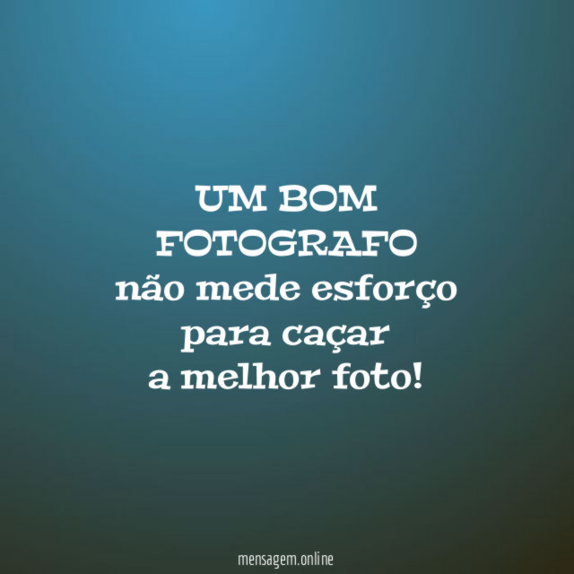 UM BOM FOTOGRAFO não mede esforço para caçar a melhor foto