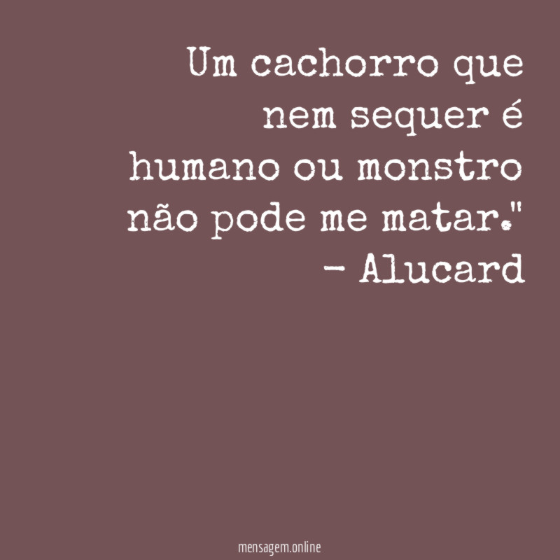 Um cachorro que nem sequer é humano ou